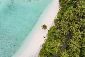 ބިޑު ބާތިލުކުރި މައްސަލައިގައި ޓޫރިޒަމް ގޮވައިގެން ކޯޓަށް