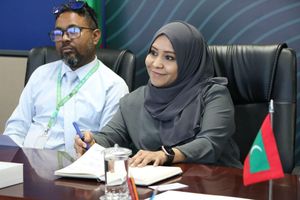 ޕާޓީ ކުރުމުގެ ޓްރެންޑު އާންމުވީ މިފަހުން: އެންޑީއޭ 