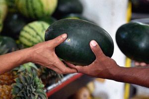 ބާޒާރުން ކަރާ މަދުވެ، ކިލޯއެއްގެ އަގު 35ރ. އަށް އުފުލިއްޖެ