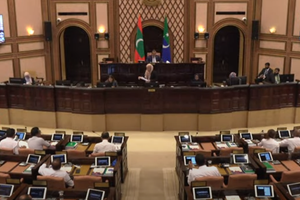 ބަޖެޓު ބަހުސަށް ތަރުހީބެއް ނެތް، ހާޒިރުވީ އެންމެ 22 މެމްބަރުން