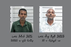 ރިއޮލޯ އޮފީހުން ވައްކަންކުރި ދެ މީހަކު ހައްޔަރުކޮށްފި 