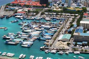 މުއްދަތުގައި ޓީޖެޓީ ހަވާލުނުކޮށްފިނަމަ، އަތުލާނެ ކަމުގެ އިންޒާރު