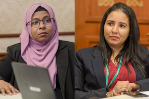 ހެލްތުގެ ނައިބުގެ މަގާމުން ނިޝާމާ އާއި ޝިޔާމާ ވަކިކޮށްފި