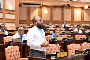 މެންބަރު މިފަހަރު ކަންބޮޑުވީ ބިދޭސީންނާ ދިވެހިން ކައިވެނި ކުރާތީ