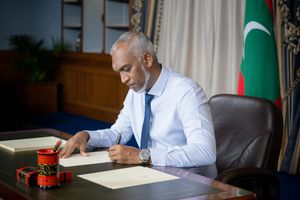 ދުންފަތާއި ވޭޕުން ޑިއުޓީ ބޮޑުކުރާ ބިލު ތަސްދީގުކޮށްފި