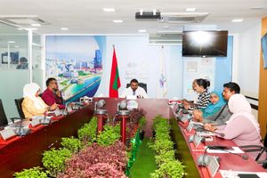 Major city council projects transferred to govt