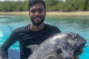 މަސްހިފަން ގޮސް އުޅެނިކޮށް ގެއްލިގެން ހޯދި ޒުވާނާ މަރުވެއްޖެ