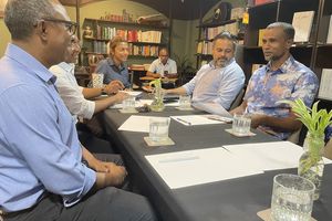 ސަރުކާރު ބޭރުކުރަން ޕީޕީއެމް އާއި ޑިމޮކްރެޓްސް އަތުގުޅާލައިފި