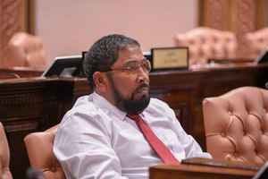 ހޮރައިޒަންގެ މައްސަލަ ބަލާ ކޮމިޓީގައި ގާސިމް، ބައްދަލުވުން ސިއްރު