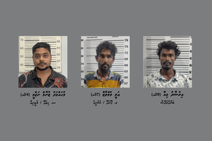 ގިނަ އަދަދެއްގެ މަސްތުވާތަކެއްޗާއެކު ދެ ސަރަހައްދަކުން ތިން މީހަކު ހައްޔަރުކޮށްފި