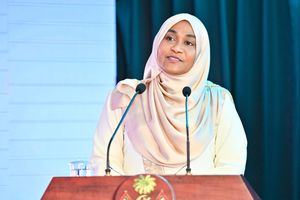 ކާބޯތަކެތީގެ ރައްކާތެރިކަމުގެ ބިލު ފާސްކުރަން ގޮވާލައްވައިފި