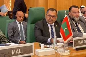 ޖެނޮސައިޑް ނިންމަން ހަމަހަމައަށް ގާނޫނު ތަންފީޒުކުރޭ: ޒަމީރު