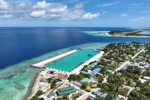 ހަނަކުން ހެދި ގްރައިންޑަރެއް ފަޅައިގެން ގޮސް މީހަކު ޒަހަމްވެއްޖެ