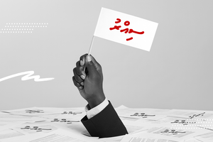 ހަރަދުތައް ސިއްރު: ހާމަވީ މާލިއްޔަތާއި ހައްގުތަކަށް އޮތް ނުރައްކާ