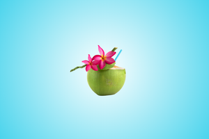 ވަގުފު ރިޒޯޓެއް ތަރައްގީ ކުރުން