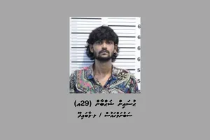 ގ. ހިޔާ ރޯދީގައި ރޯވި މައްސަލައިގައި މީހަކު ހައްޔަރުކޮށްފި