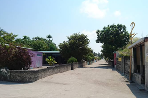 ހިރިމަރަދޫއަށް ދެ ޕޮލިޓިކަލް ޑިރެކްޓަރުން އައްޔަނުކޮށްފި
