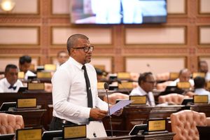 މިސްކިތަށް ގެއްލުން ދިނުމަކީ ޓެރަރިޒަމްގެ ކުށެއް ކަމަށް ހަދަނީ