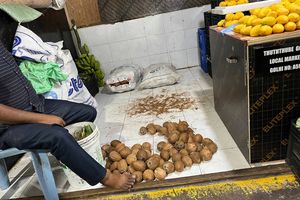 ބާޒާރުގައި ކާއްޓެއްގެ އަގު 60ރ. އަށް އުފުލިއްޖެ 