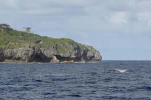 A Pacific island's plan to protect its waters