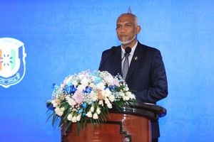 ތަހުގީގު ރިޕޯޓު ރައީސްއަށް ލިބިމުން ދިރާސާތައް ފަށައިފި 