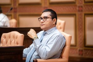 މުއިއްޒުގެ ދަތުރުތަކުން ރާއްޖެއަށް ފައިދާތަކެއް ކުރި: ދީދީ