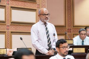 ބަނގުރާ ގިނައިން ނަގަނީ ނުދުއްވާ އަޅާފައި ހުންނަ ސަފާރީތަކަށް