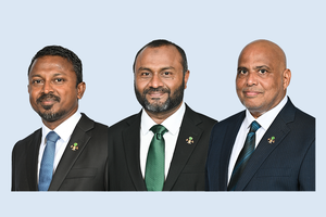 ރުހުން ނުދިން ތިން ވަޒީރުންނަށް ރުހުން ހޯދުމަށް އަލުން މަޖިލީހަށް