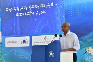 ބިމާއި ޕިކްނިކް އައިލެންޑުން ނުނިމޭ، މާފުށްޓަށް އިތުރު ޕްލޭނެއް