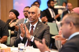 ހުލާސާކޮށް އިއްޔެ:ބޮޑެތި ކުންފުނިތަކަށް ޑޮލަރު ސަޕޯޓު ވަރަށް ކުޑަ
