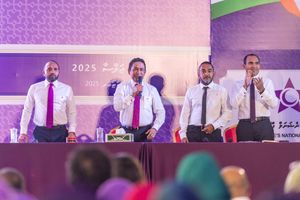 ޕީއެންއެފްގެ ރައީސަކަށް ޔާމީން, ނައިބުންނަށް ޖަމީލް އާއި ޒެއިން 