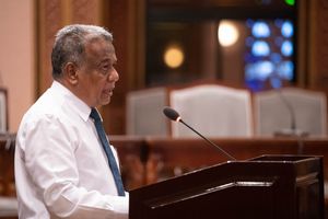 އެމްއެމްޕީއާރުސީ ހިޔާނާތުގެ ތަހުގީގަށް ސަލީމް ކޮމިޝަނަށް