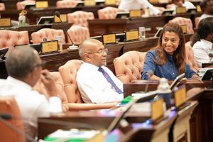 'ނަޝީދު ވަކިކުރުމުގެ މައްސަލަ އެމްޑީޕީއަށް ކާމިޔާބެއް ނުވާނެ'