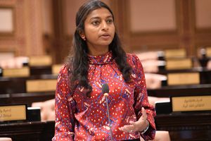 ބޮޑު ހިޔާނާތް ބަލަން މަޖިލީހުގެ ކޮމިޓީތަކަށް އިތުބާރެއް ނެތް