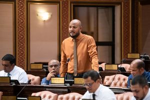 ސަސްޓެއިނެބަލް ޓައުންޝިޕްގެ ގޮތުގައި އެސްއީޒެޑް ހެދޭ އިސްލާހެއް