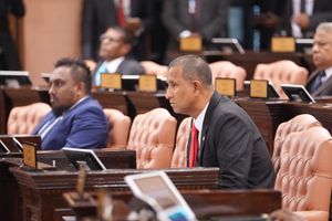 ބޮއިކޮޓް ނިންމުމާ ހިލާފަށް އެމްޑީޕީގެ ދެ މެމްބަރަކު ޖަލްސާގައި