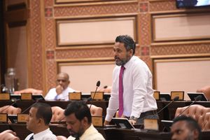 ކައުންސިލަށް ދީފައިވާ ބާރުތައް ތަންފީޒުކުރުމަށް ގޮވާލާ ގަރާރެއް