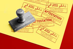 ތައްގަނޑެއް ޖަހާލަދޭން ވެއްޖެ!