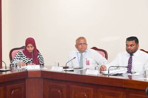 Transport Ministry's domain sales stopped