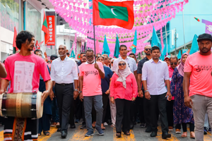 ޕީޕީއެމް ރަސްމީކޮށް އުވާލައި ޕާޓީތަކުގެ ދަފްތަރުން އުނިކޮށްފި