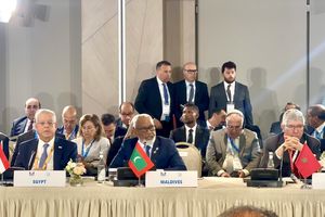 Speaker urges more commitment to environmental justice