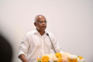"ހިތުހުރި އެއްޗެއް ގޮވުމަކީ ޕާޓީއަށް ފައިދާހުރި ގޮތެއް ނޫން"