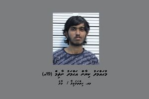 ކިލޯއަކަށްވުރެ ގިނަ މަސްތުވާތަކެއްޗާއެކު ޒުވާނެއް ހައްޔަރުކޮށްފި