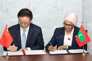 China to help control pests damaging coconut palm trees