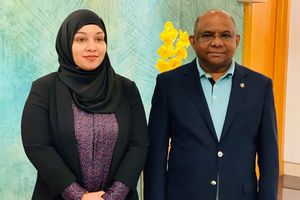 ޑެޕިއުޓީ ހައި ކޮމިޝަނަރު މަގާމުގައި މިޒްނާ ބަހައްޓަން ނިންމައިފި