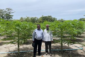 ނަފާ ބޮޑު ދަނޑުވެރިކަން ހޯދަން މިނިސްޓަރު ދަނޑުވެރި ރަށްރަށަށް