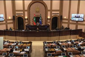 ބަޖެޓު ރިޕޯޓަށް ބަހުސް ކުރާނެ މެންބަރެއް ތަޅުމުގައި ނެތް!