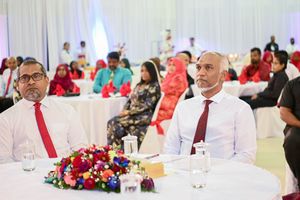 ތެލަސީމިއާ ހޮސްޕިޓަލް ވާނީ ސަރަހައްދީ ވަރުގަދަ ތަނަކަށް: ހަލީލް