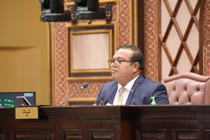 ގަރާރު އެޖެންޑާ ނުކުރެވުނު ސަބަބު އަސްލަމް ތަފްސީލު ކޮށްދީފި