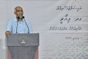 ކައުންސިލް މެންބަރުންނަކީ ޕާޓްޓައިމް މަގާމުތަކަށް ހެދުމުގެ ހިޔާލު